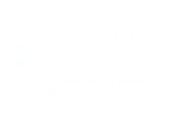 Vietnam Innovation and Private Capital Summit
